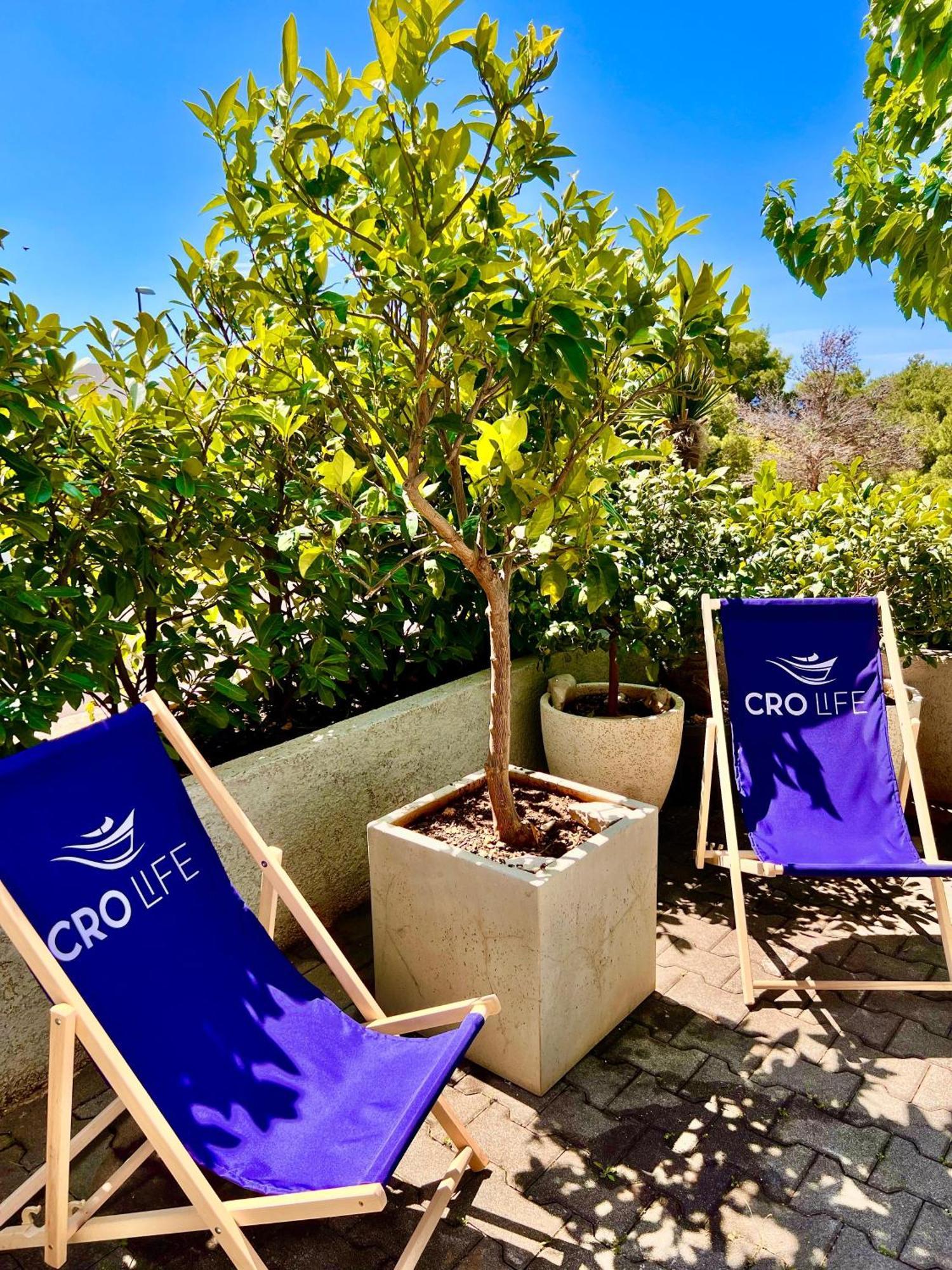 Apartament Crolife 马卡尔斯卡 外观 照片